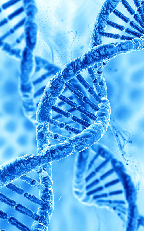 PDRN (Polydeoxiribonukleotid)